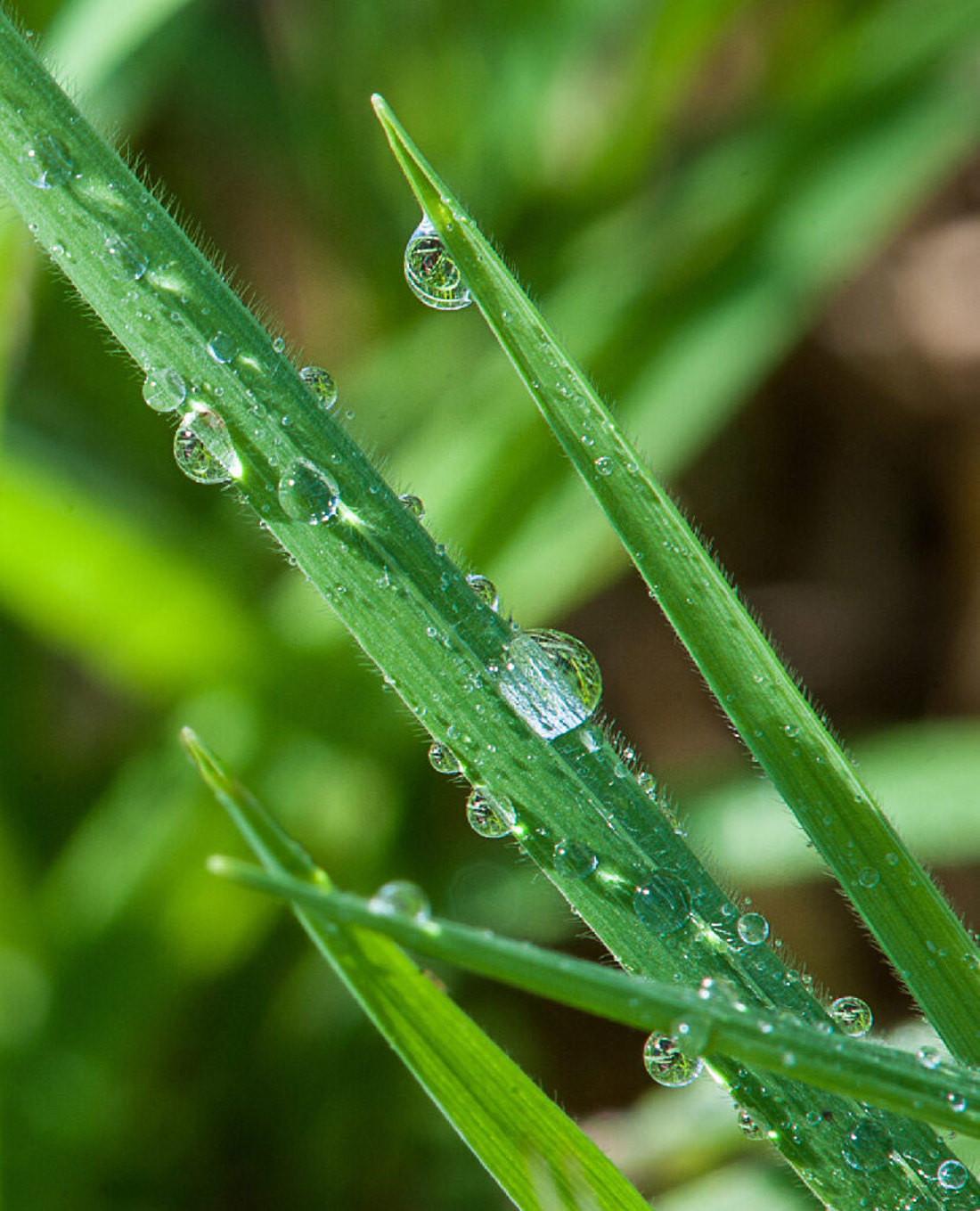 Experiencing A Wet Spring Homepage Promo Image 829X1024