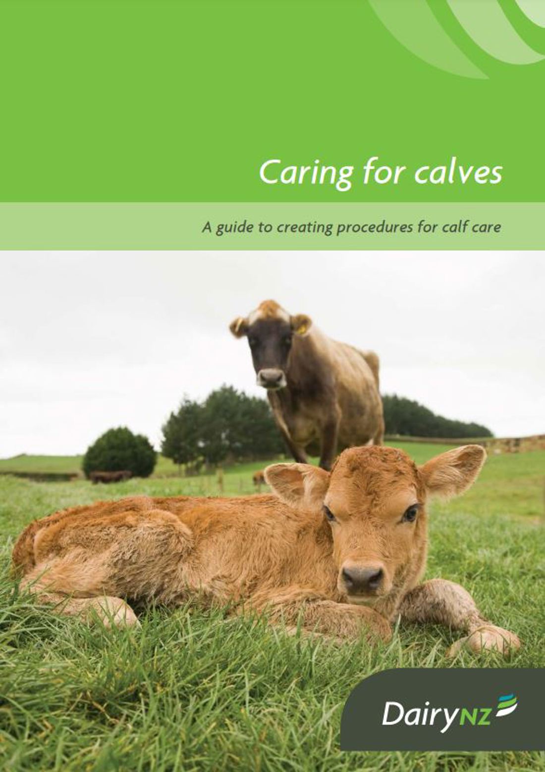 Caring For Calves Image