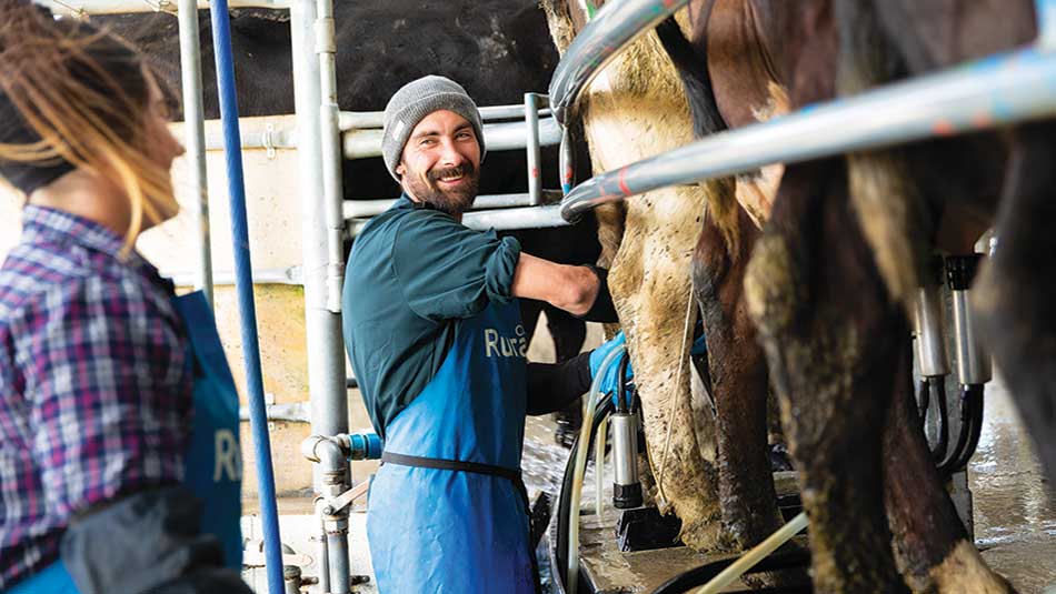 Milking Efficiency - Shannon and Cass Rolls - Canterbury - DairyNZ ...