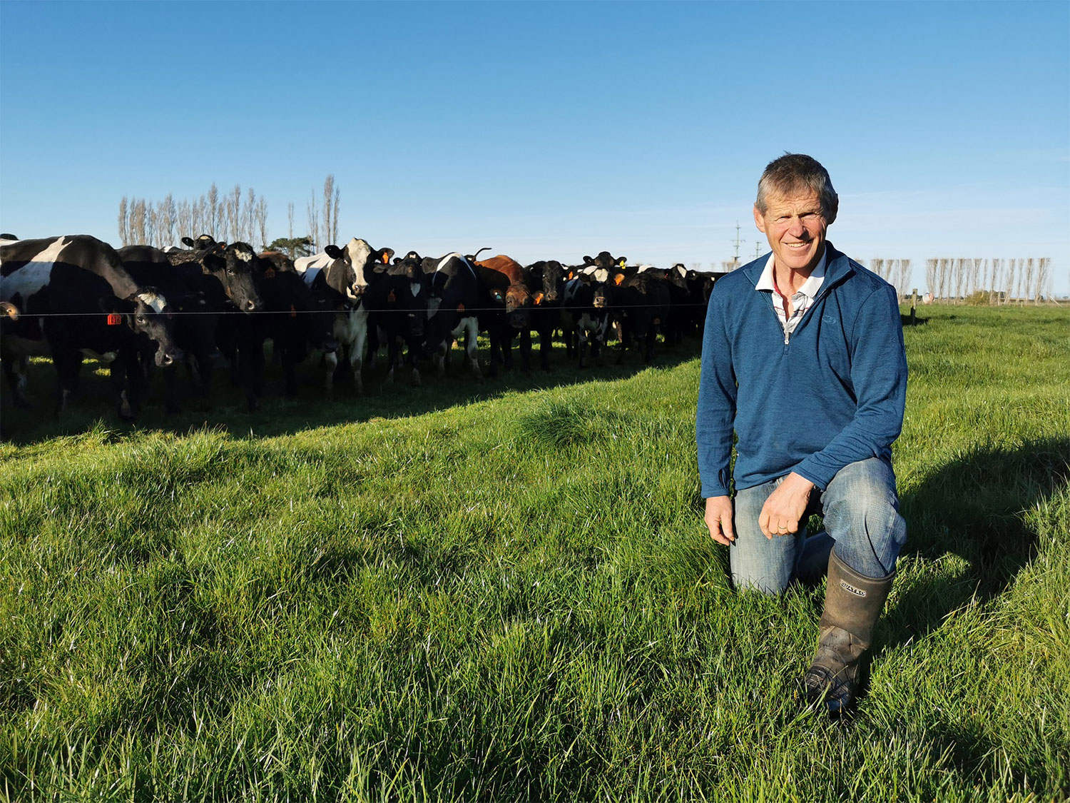 DairyNZ Programme Helps Canterbury Dairy Farmers Achieve Nitrogen ...