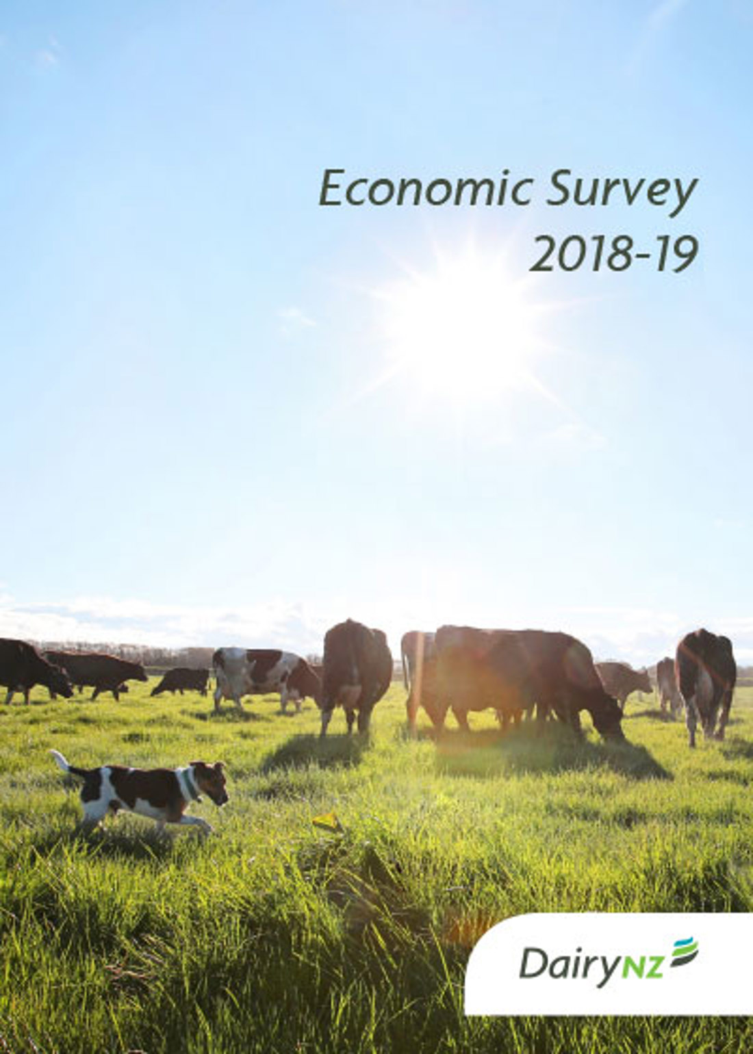 Dairynz Economic Survey 2018 19 Image