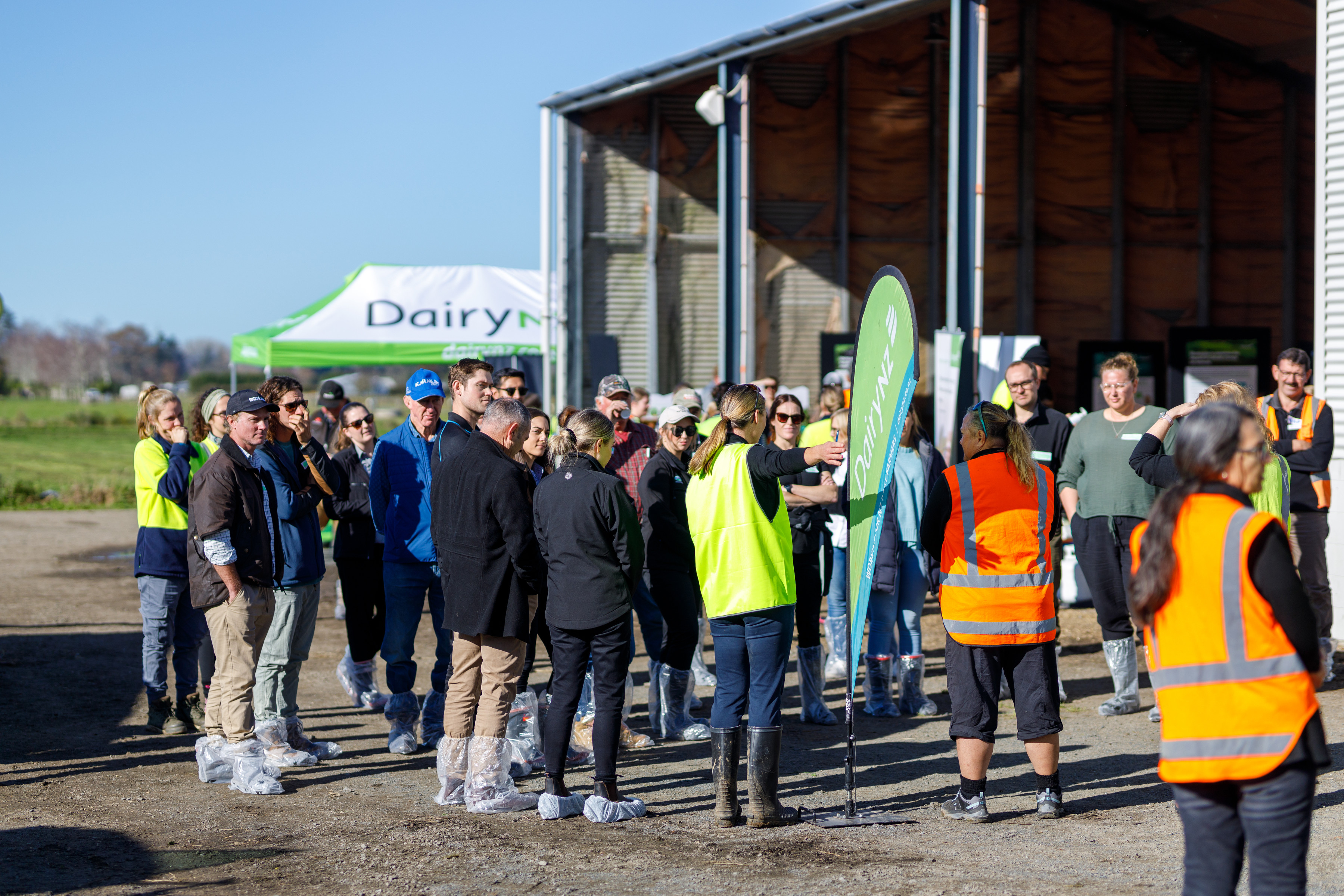 www.dairynz.co.nz