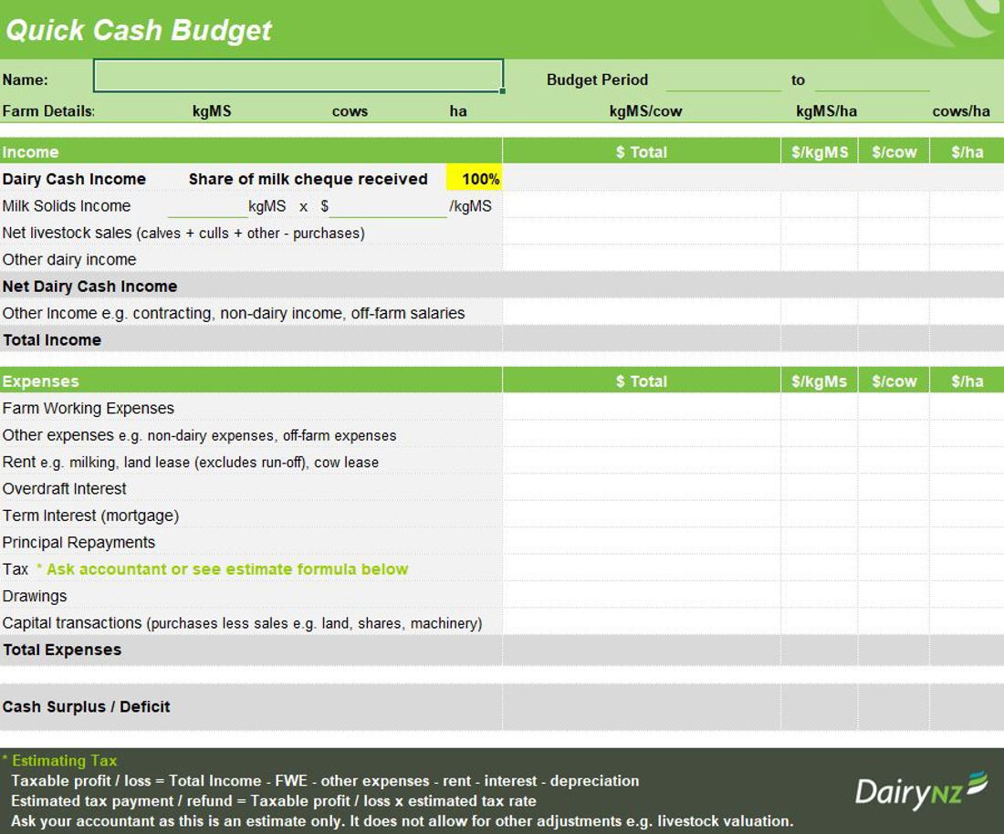 Quick Cash Budget Template Image