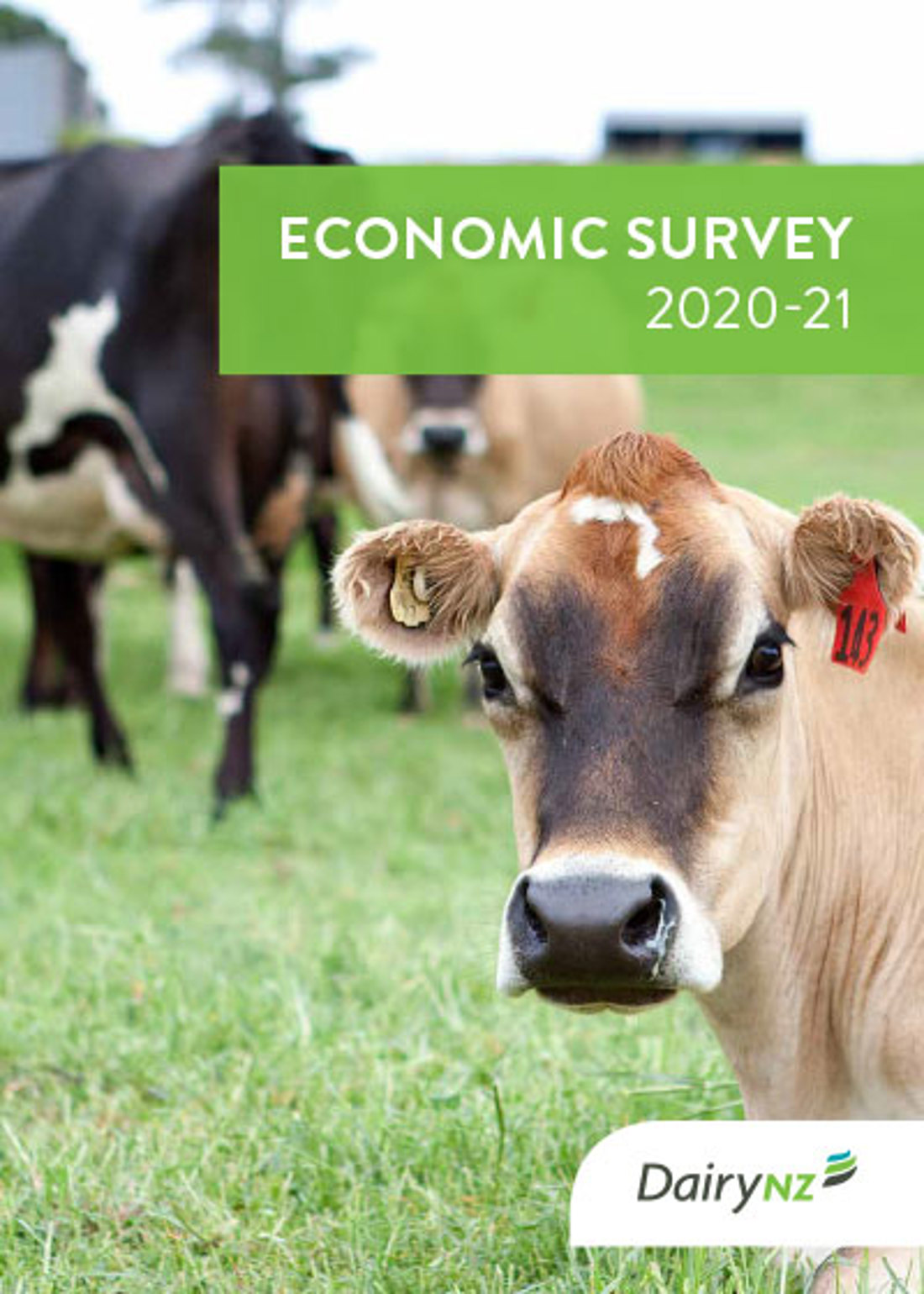 Economic Survey 2020 21 Image